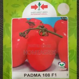Tomato Padma F1