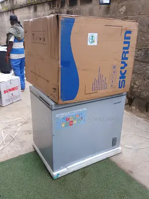 SKYRUN 260L Deep Freezer – Spacious Storage for Home & Shop