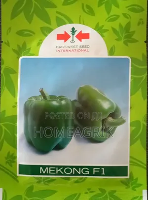 Bell Pepper - Mekong 500seeds