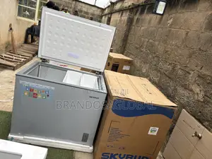 SkyRun BD-260A Freezer for Frozen Inventory