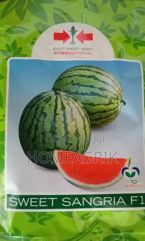Watermelon Sweet Sangria F1 10g