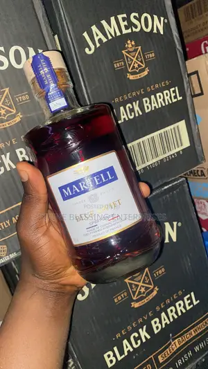Martel Blue Swift by 12 Bottles Per CTN