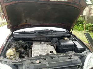 Lexus RX 2003 Brown