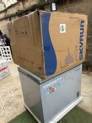 SkyRun BD-260A Chest Freezer for Frozen Stock