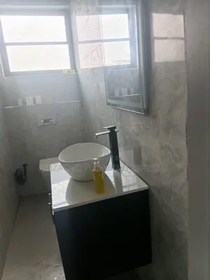 Professional Plumber in Lagos