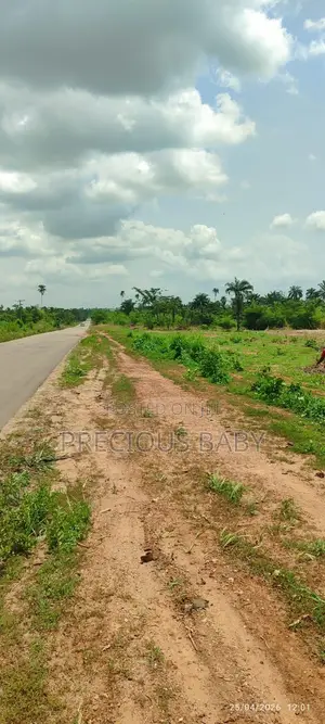Land for Sale With Genuine and Verified Documents