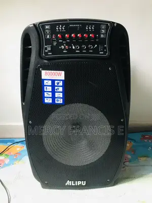 Alipo Megaphone 456
