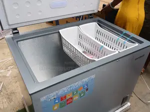SKYRUN 260L Deep Freezer – Ideal Freezing Solution for Home & Shop