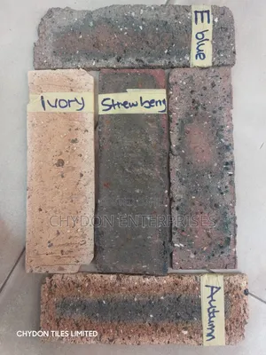 South Africa Bricks