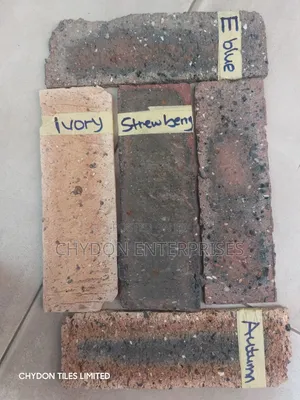 South Africa Bricks