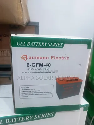Baumann Electric 12v 40ah Gel Battery