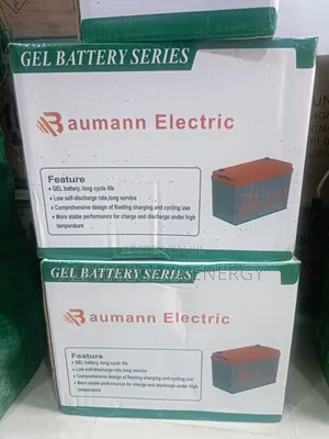 Baumann Electric 12v 100ah Gel Battery