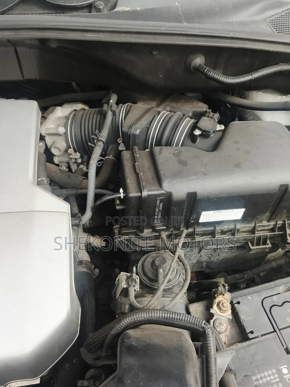 Lexus RX 2006 White