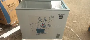 Skyrun Freezer Bd-250ai