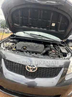 Toyota Corolla LE 4dr Sedan (1.8L 4cyl 4A) 2010 Gray