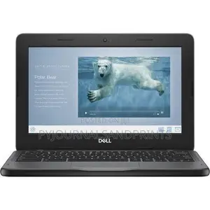 Laptop Dell Chromebook 3100 4GB Intel Celeron eMMC 16 GB