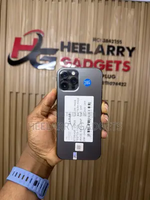 Apple iPhone 12 Pro Max 256 GB Black