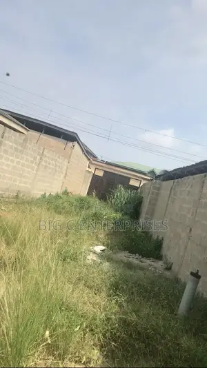 1/2 Plot of Land