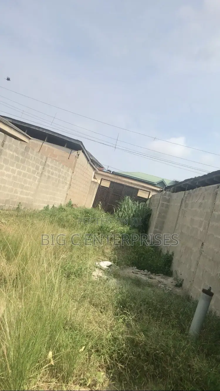 1/2 Plot of Land