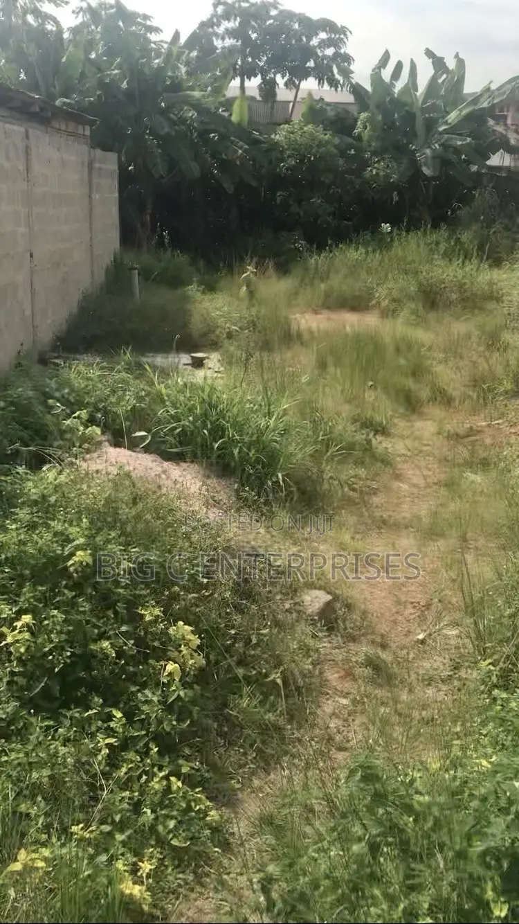 1/2 Plot of Land