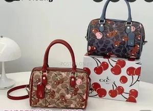 Coach Bag Fully Box