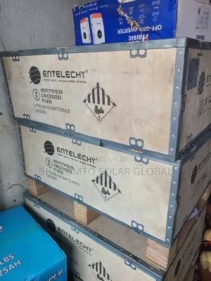 16kwh Entelechy Lithium Battery