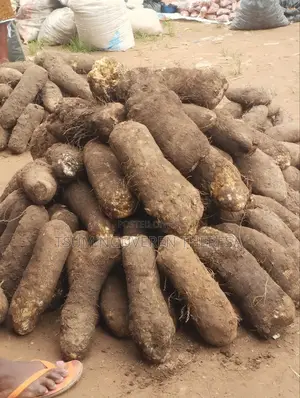 Benue Sweet Yams and More