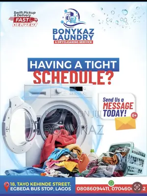 Professional Laundry and Drycleaning Seevice