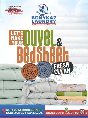 Professional Laundry and Drycleaning Seevice
