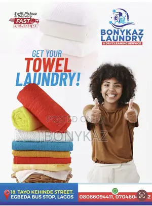 Professional Laundry and Drycleaning Seevice