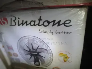 Binatone Wall 18inch