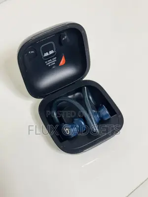 Original Apple Power Beat Pro 1