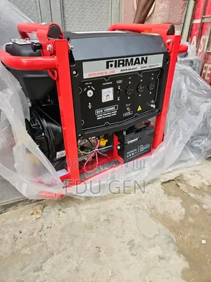 Original 12990 Firman Generator 100% Copper Coil