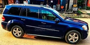 Mercedes-Benz GL-Class GL 450 2009 Blue