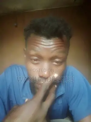 Live-Out Personal Driver in Orchid, Lekki