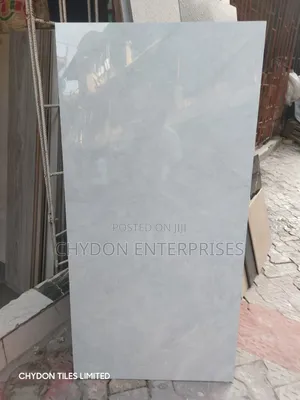 60by120 Tiles Light Grey Colour