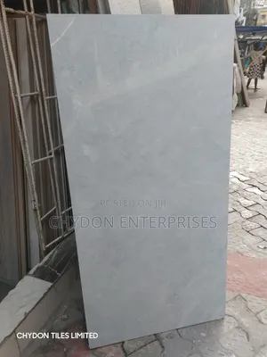 60by120 Tiles Light Grey Colour