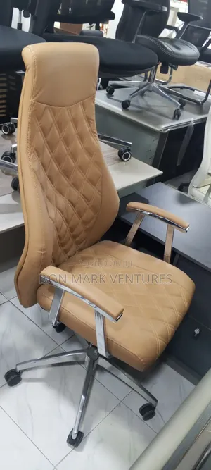 Luxury Directors Office Chair