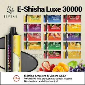 ELFBAR E-Shisha Luxe 30,000 Puffs Disposable Vape – Retail Wholesale