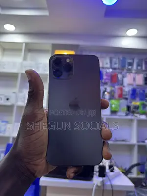 Apple iPhone 12 Pro Max 128 GB Gray