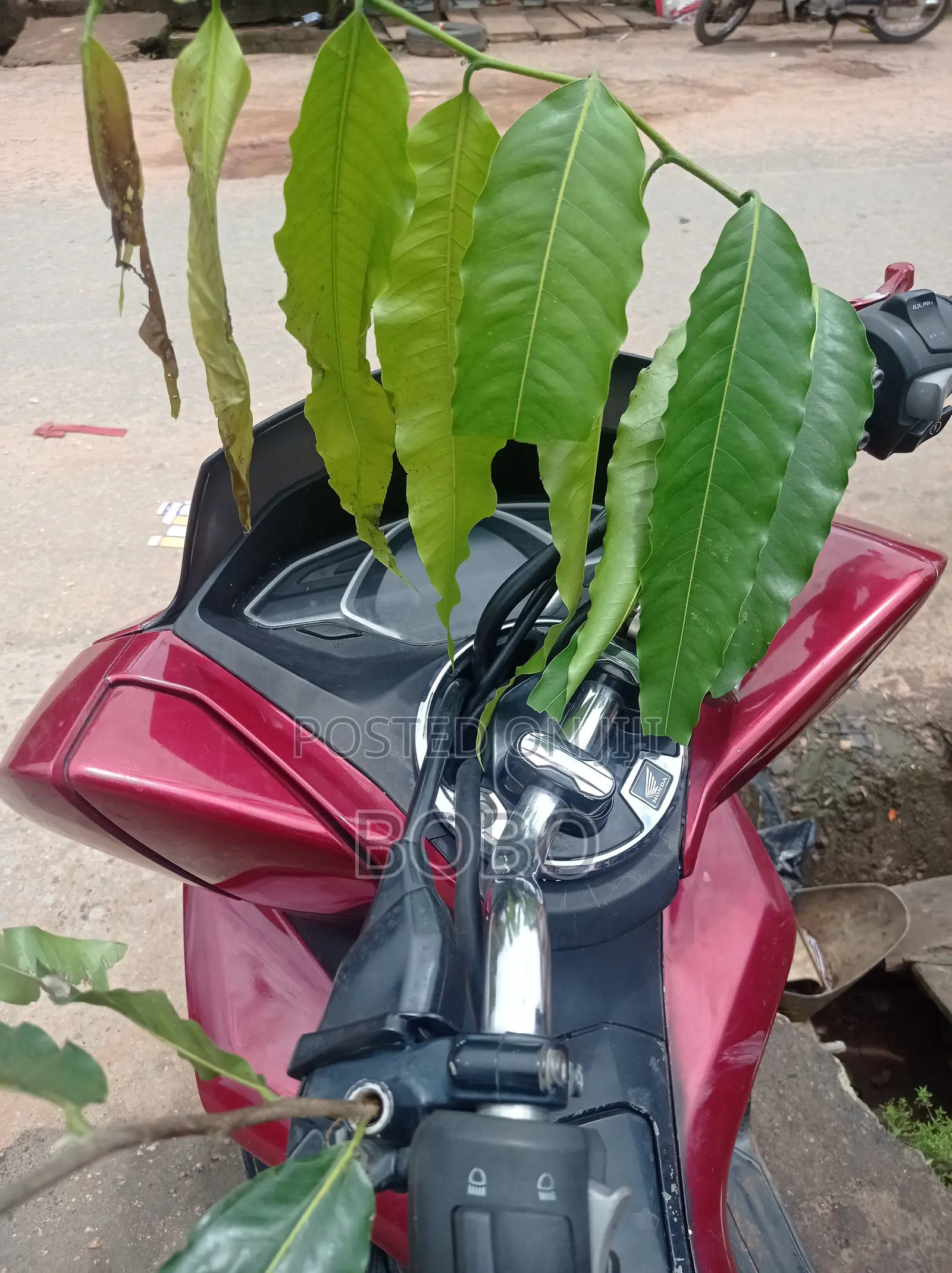 Honda 2025 Red