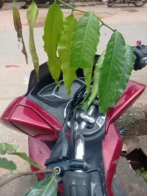 Honda 2025 Red