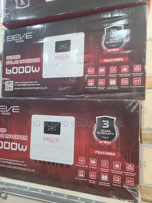 6kva/48v BEVE Inverter