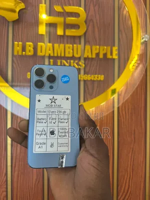 New Apple iPhone 13 Pro 256 GB Silver