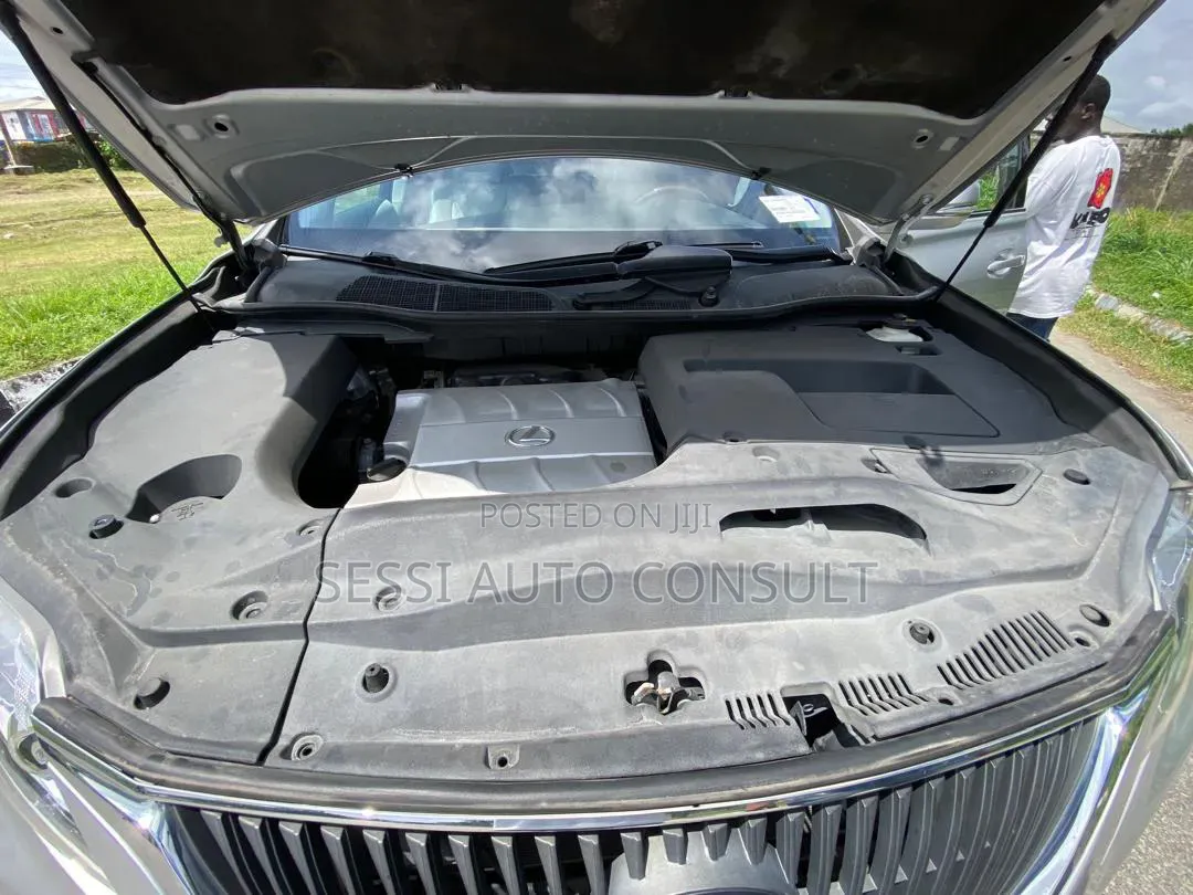 Lexus RX 2010 Silver