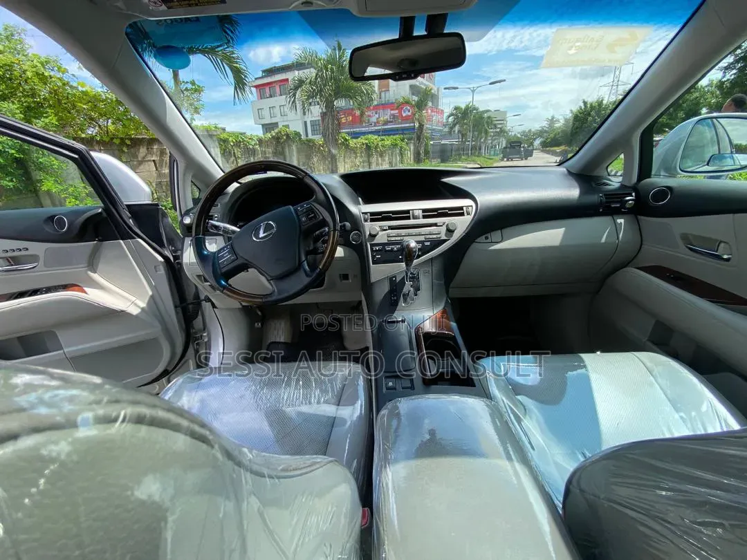 Lexus RX 2010 Silver