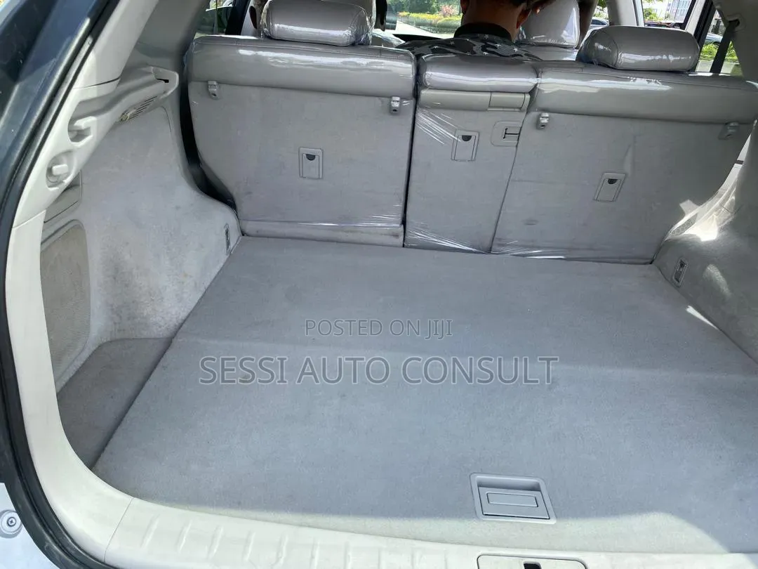 Lexus RX 2010 Silver