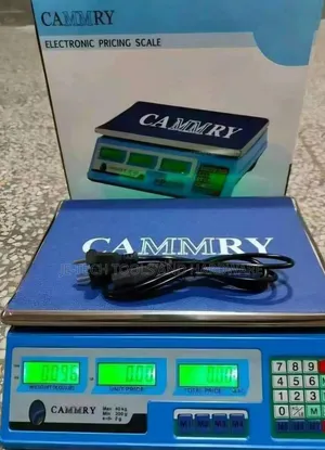 Kitchen Digital Scale 40Kg
