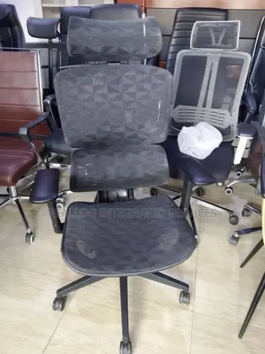 Executive Ergonomic Office Chair