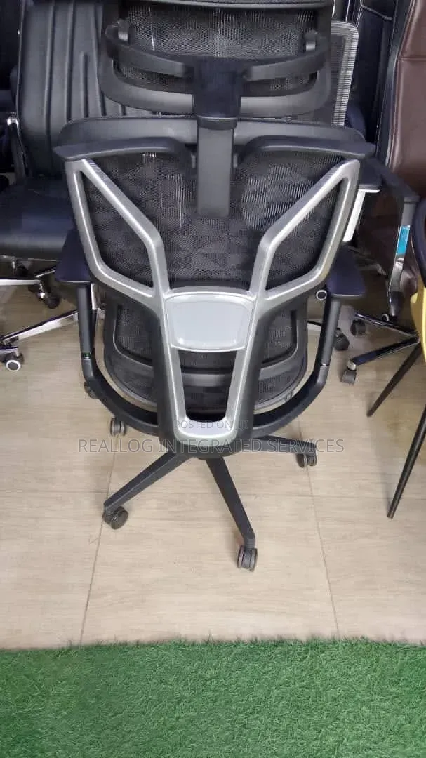 Executive Ergonomic Office Chair